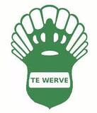 Haagse Voetbal Vereniging Te Werve(Hvv Te Werve)